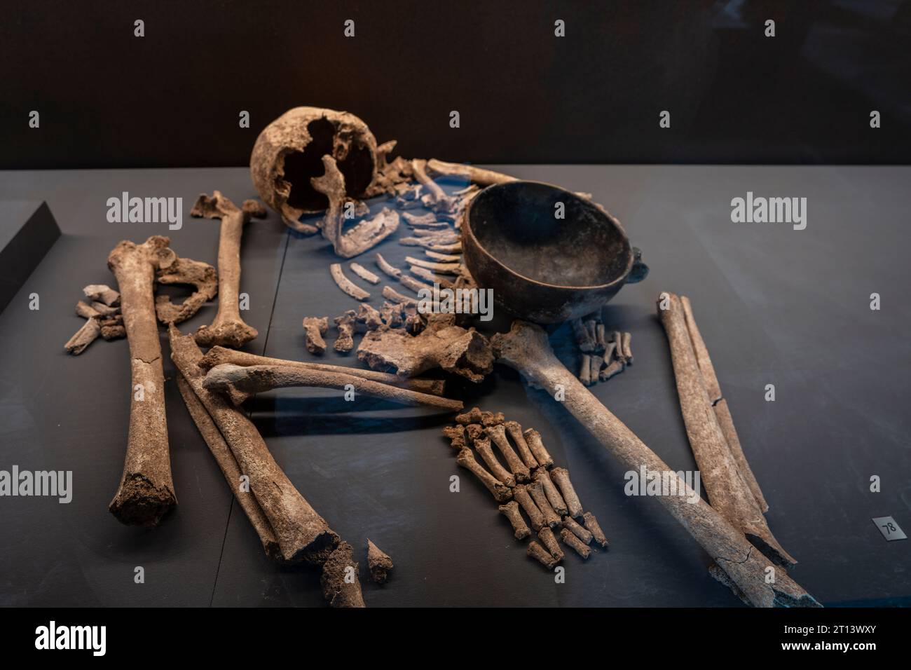 Individuelle Beerdigung in seitlicher Position, Los Cascajos Nekropolis, Museum von Navarra, Pamplona, Navarra, Spanien Stockfoto