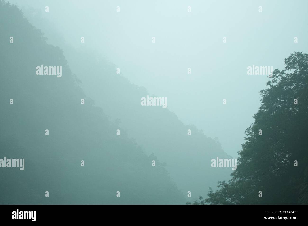 Sonnenaufgang am nebeligen Wudang-Berg in der Provinz Hubei, China Stockfoto