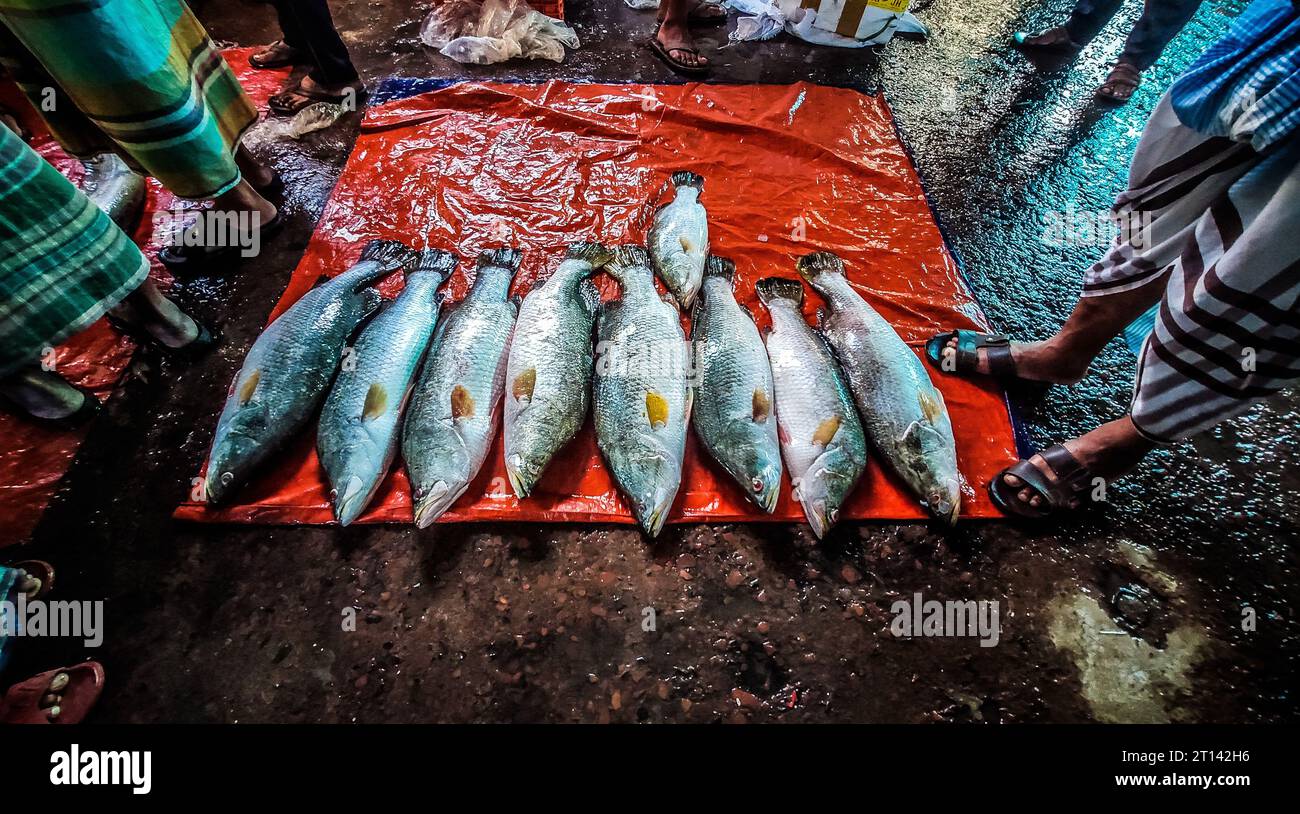 Fisch wird auf einem lokalen Fischmarkt in Barishal, Bangladesch, ausgestellt. Stockfoto