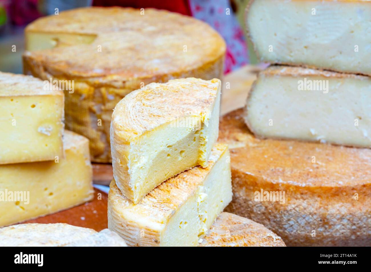 Schimmelkäse. Käsesammlung auf Holz board.cheeses Stockfoto