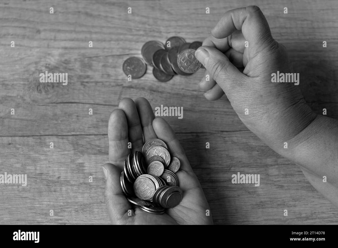 Münzen in den Palmen. Geld zählen, Münzen... Armutskonzept, Geldknappheit. Sparen. Auf einer Münze steht sie in Ukrainisch - 50, 25 und 5 Kopeken. Schwarz Stockfoto