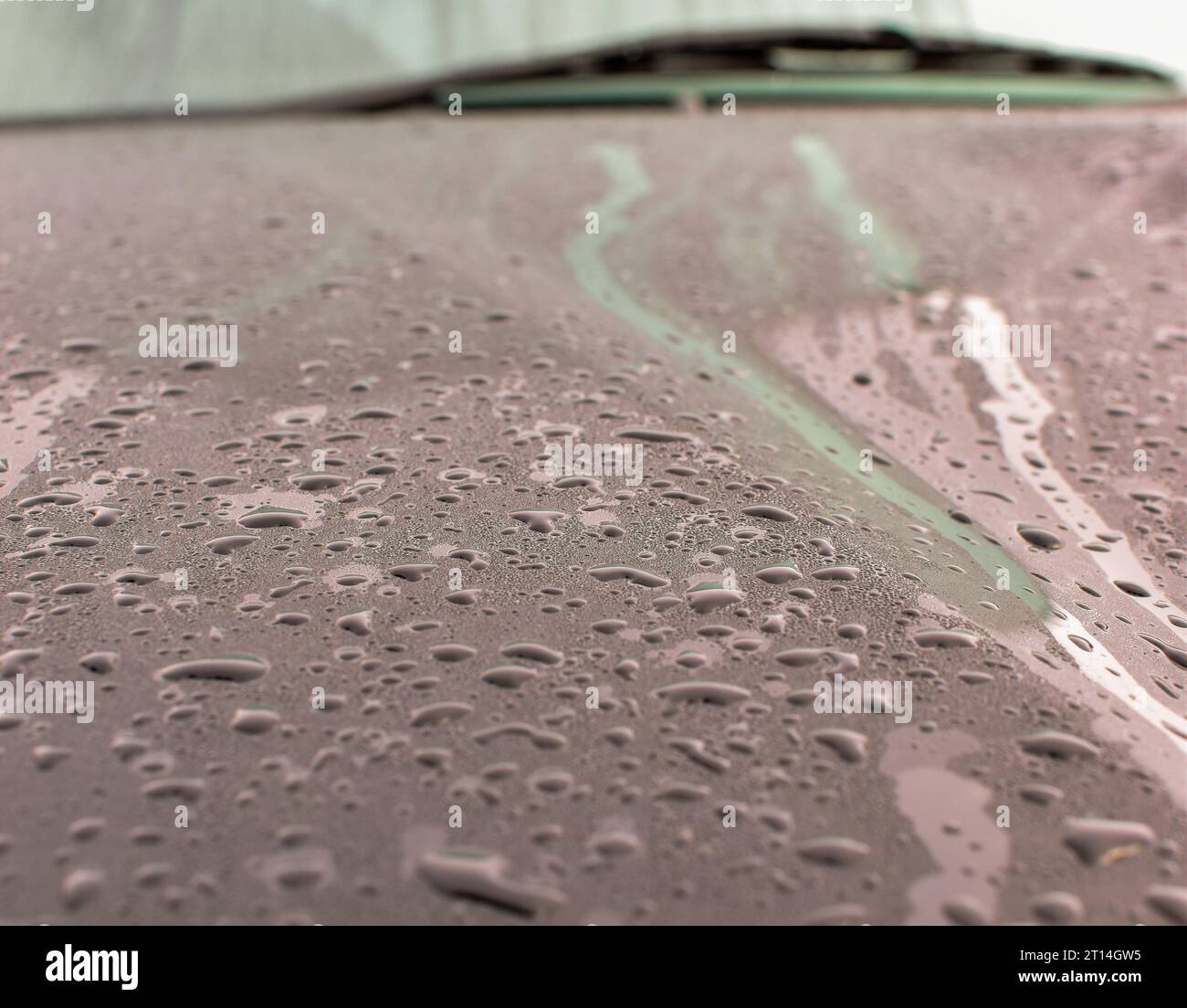 Kondenswasser auf der Motorhaube eines Fahrzeugs in dunkler Farbe mit einem unscharfen Scheibenwischer im Hintergrund. Stockfoto