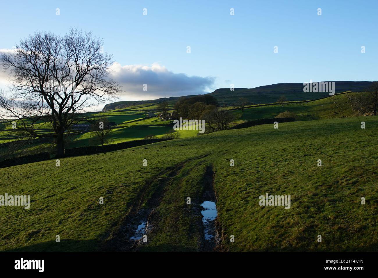 Yorkshire Dales Country at Wharfe bei Austwick, Yorkshire Dales, North Yorkshire, England, Großbritannien Stockfoto