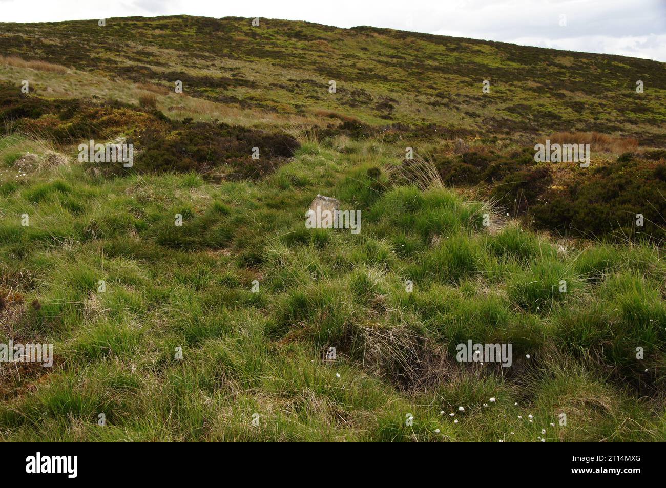 Robert Wilsons Grab, direkt am Pennine Way, in der Nähe von Pinhaw Beacon, Elslack Moor, Craven, North Yorkshire, England, Großbritannien Stockfoto