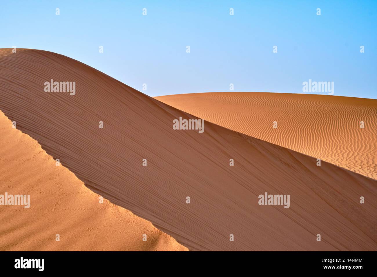 Sanddünen in der Sahara, Marokko, an einem klaren blauen Himmel. Stockfoto