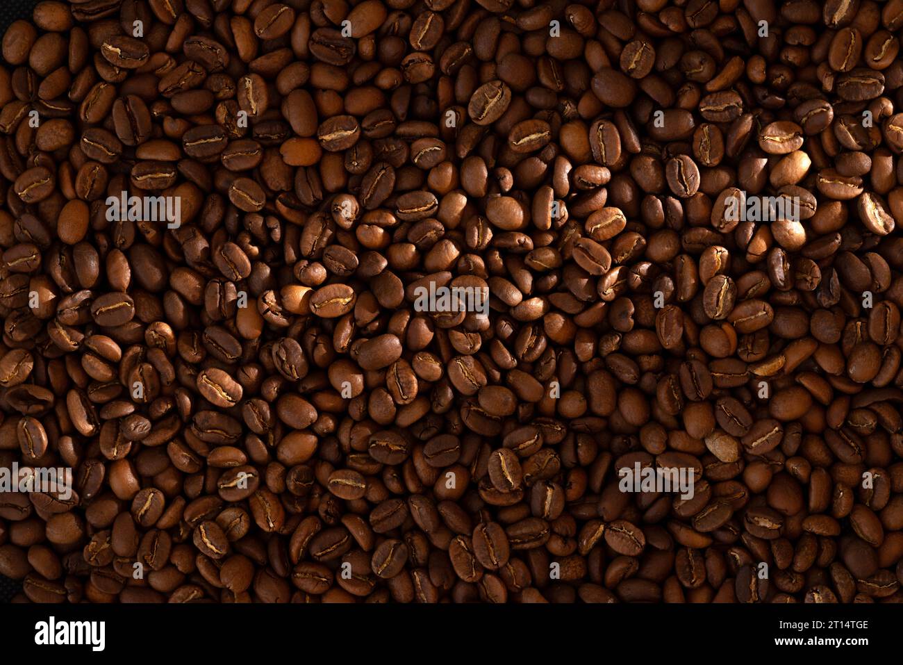 Frisch geröstete Kaffeebohnen mit Lichtstrahl Stockfoto