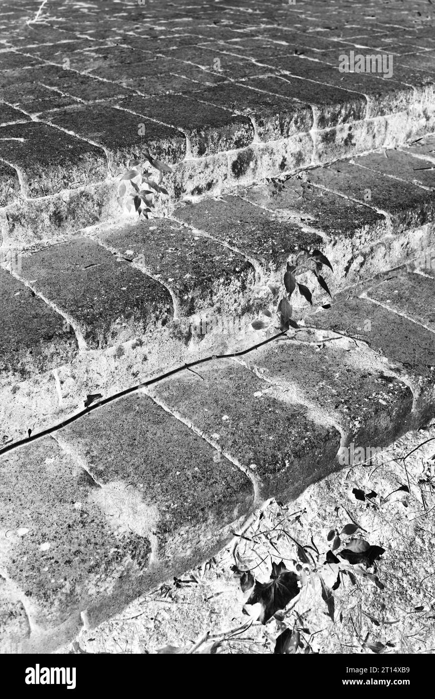 Einfache Steinstufen, die mit Moos bedeckt sind, in einem schwarz-weißen monochromen Filmnegativ. Stockfoto