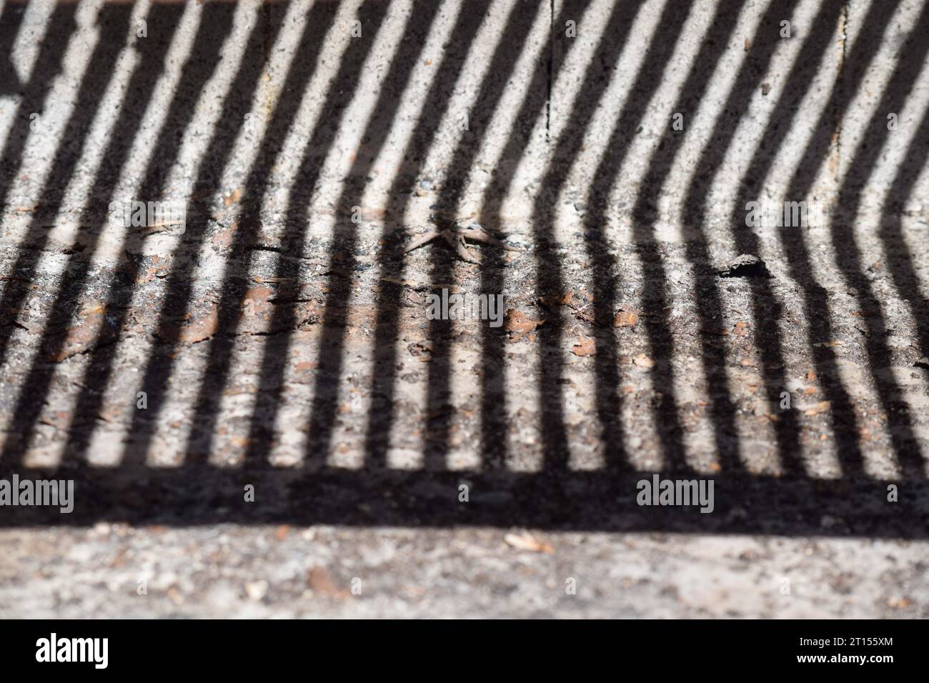 Schatten der Grilleisen Stockfoto