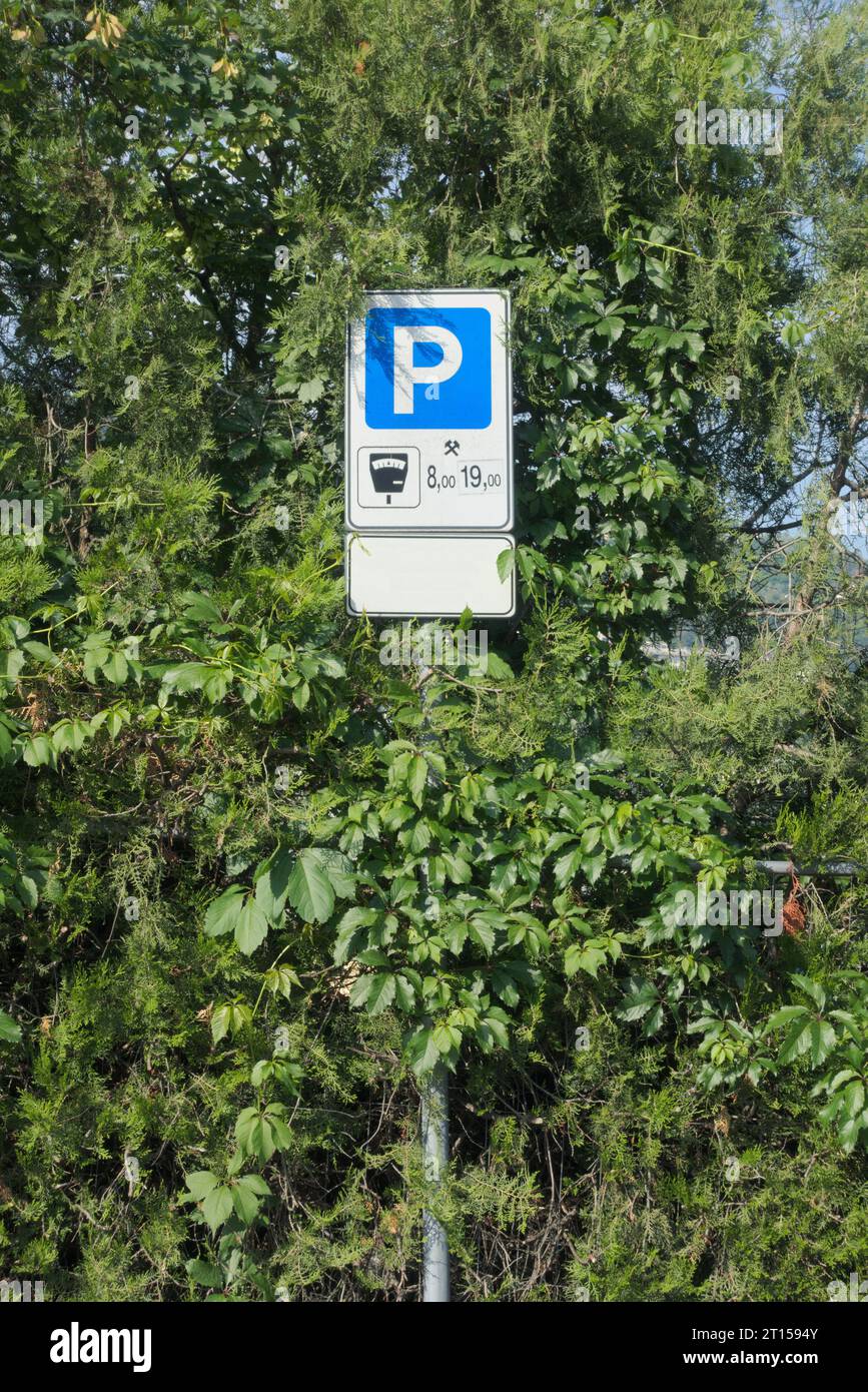 Kostenpflichtiges Parkschild und überwachsendes Laub Stockfoto