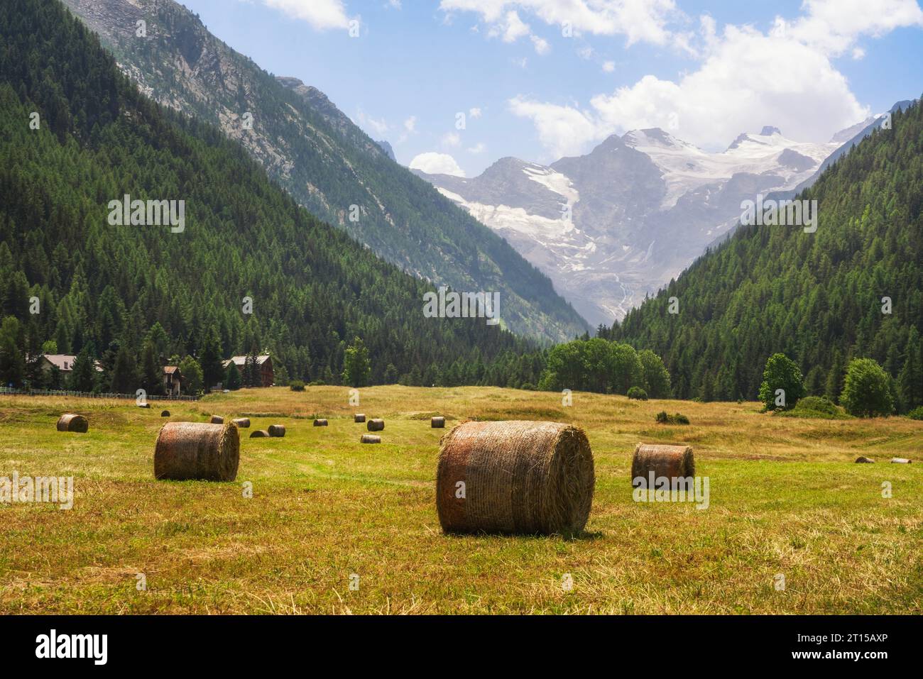 Rundballen in Prati di Sant'Orso und dem Gran Paradiso im Hintergrund. Cogne, Region Aostatal, Italien Stockfoto