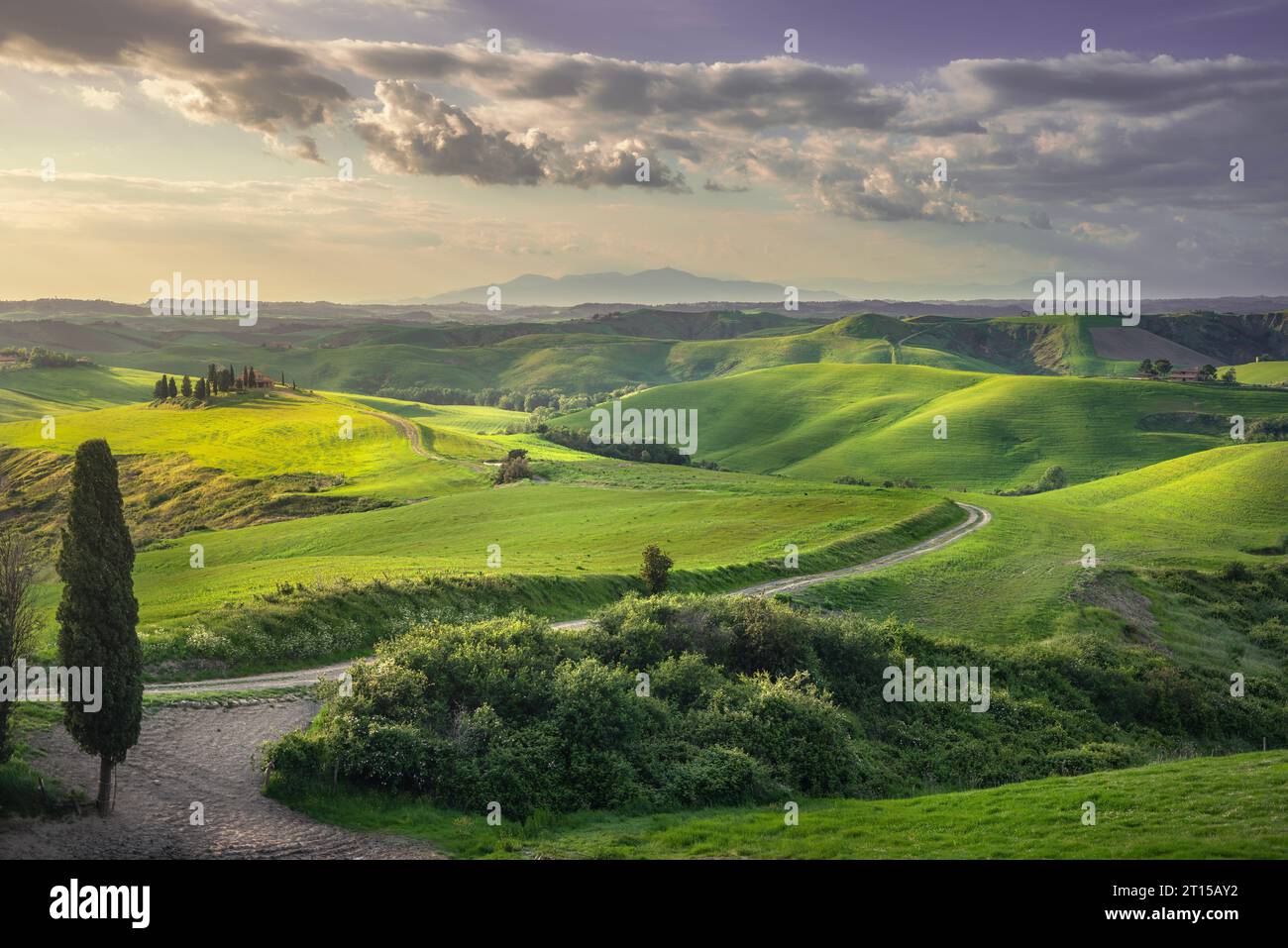 Ländliche Landschaft, sanfte Hügel, ländliche Straße und grüne Felder bei Sonnenuntergang. Volterra, Toskana, Italien, Europa Stockfoto