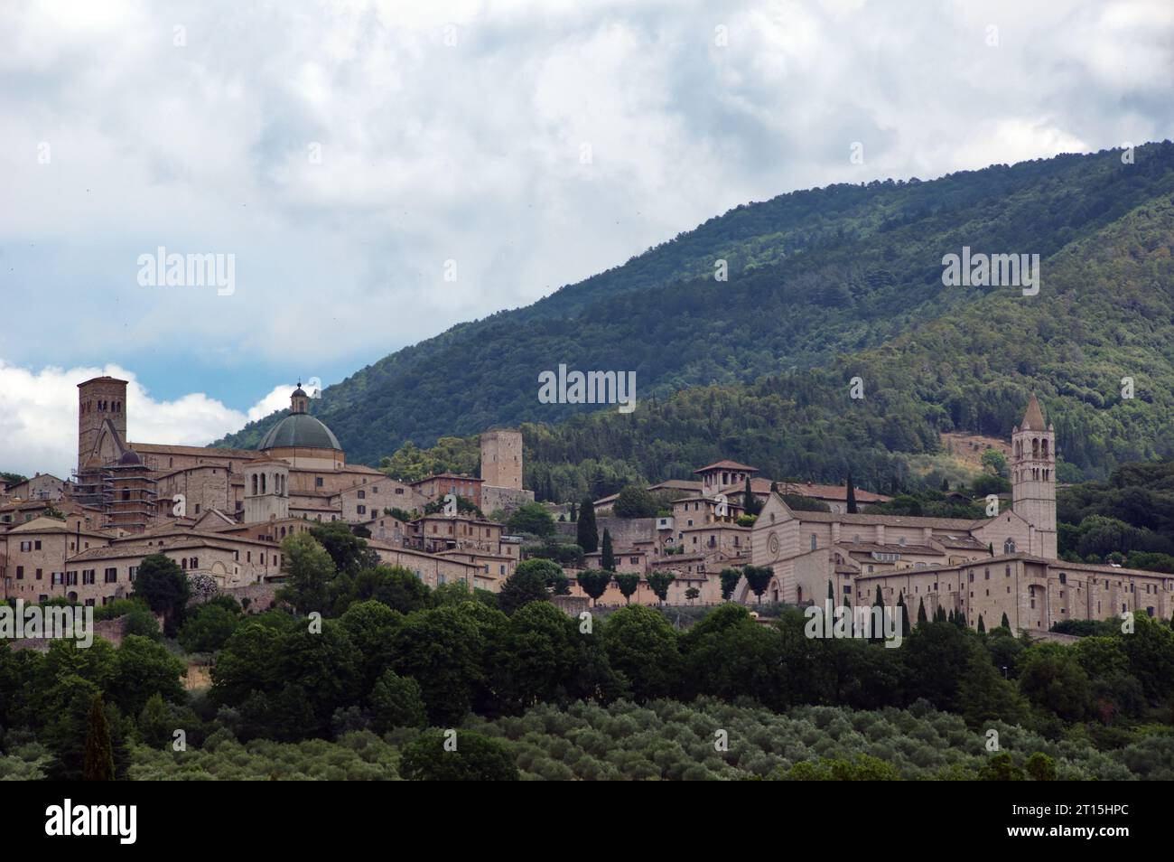 Veduta dal basso della cittadina di Assisi Stockfoto