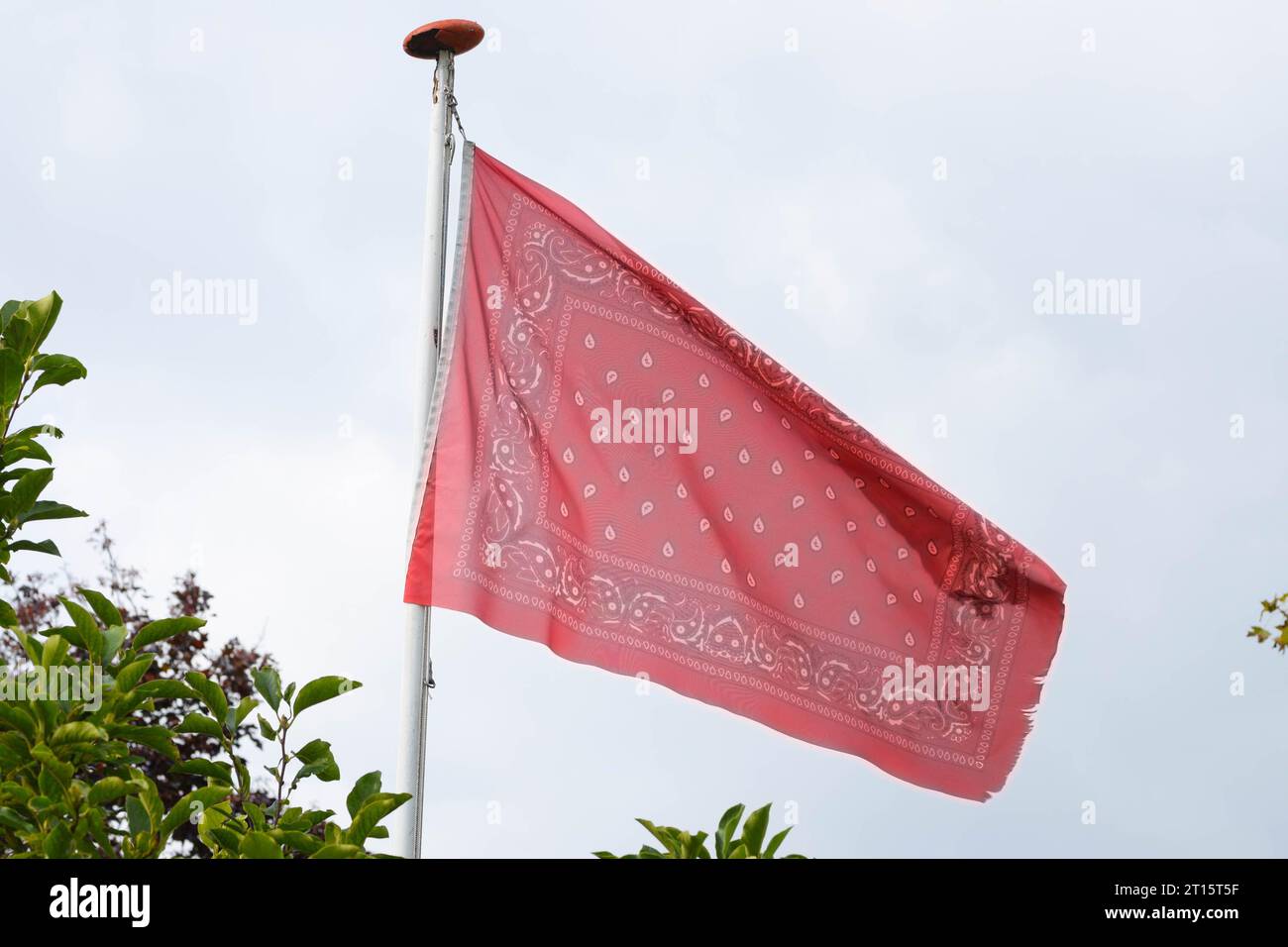 Die rote Bauernflagge fliegt stolz im Wind. Zeichen des Protestes gegen die Stickstoffmaßnahmen der niederländischen Regierung. Stockfoto