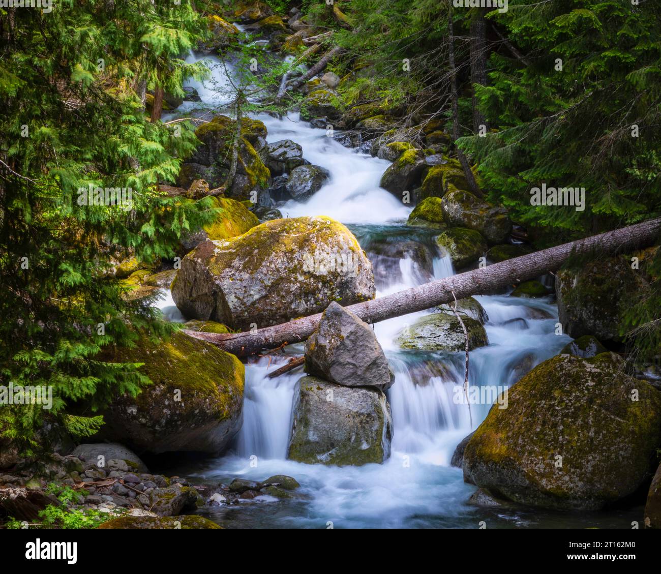 Ein Fluss im Giffford Pinchot National Forest, Washington. Stockfoto