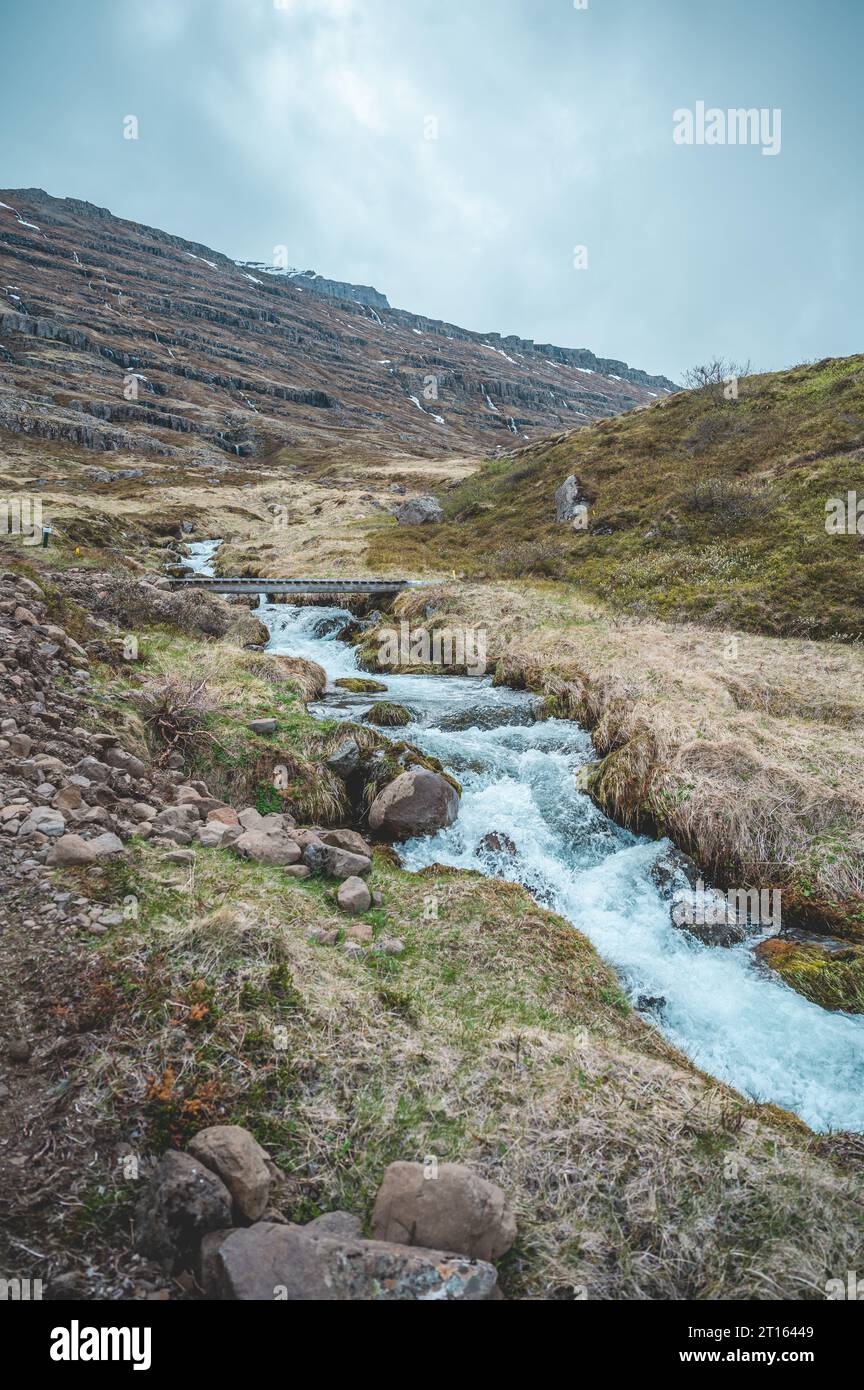 Wunderschöner idyllischer Flussdampf in Seydisfjordur, Island, vertikale Aufnahme Stockfoto