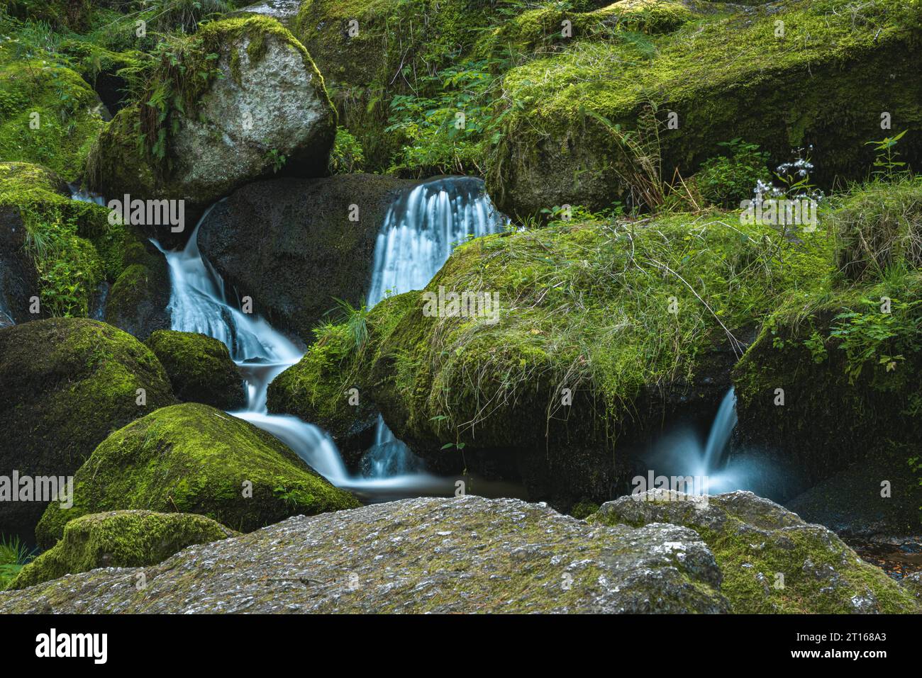 Lohn-Wasserfall mit wenig Wasser, Lohn, Niederösterreich, Österreich, Wasserfall, moos Stockfoto