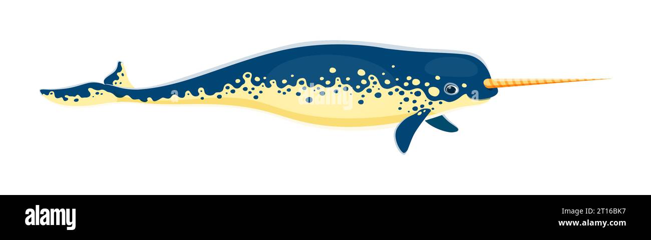 Narwaltiercharakter. Isolierter Karikaturvektor Einhorn des Meeres. Faszinierende Meeressäuger mit langem, spiralförmigem Stoßzahn. Sie ist in arktischen Gewässern zu finden und besitzt einen schlanken Körper und eine bläulich-graue Färbung Stock Vektor