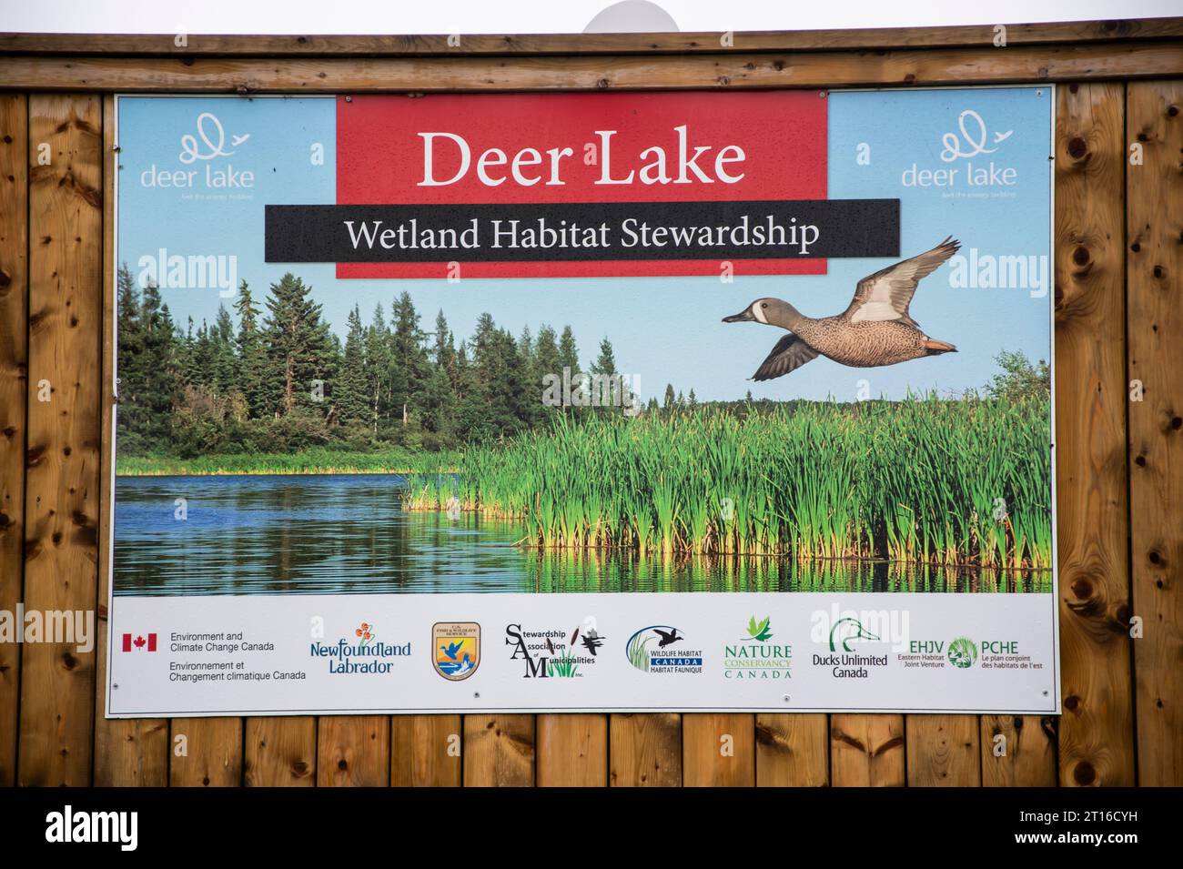 Deer Lake Feuchtgebiet-Schutzschild in Neufundland & Labrador, Kanada Stockfoto