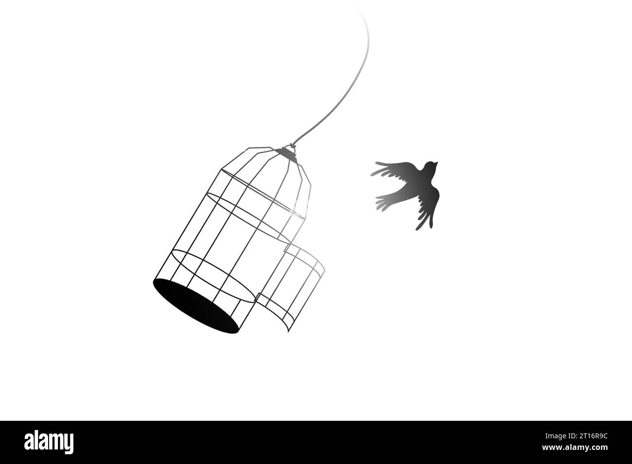 Freiheit. Vogel, der aus einem offenen Käfig auf weißem Hintergrund fliegt Stockfoto