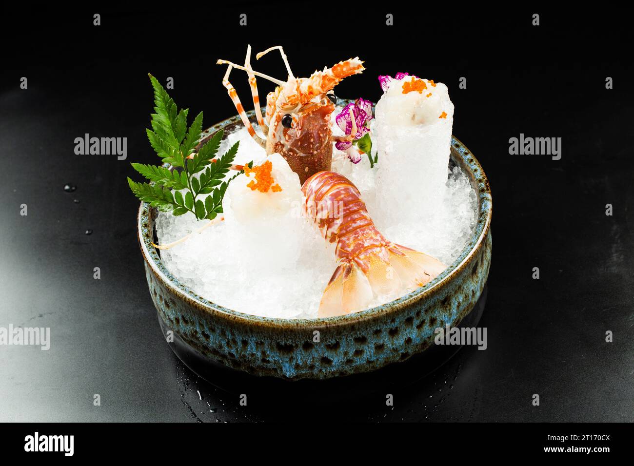。Jasus lalandii, auch bekannt als Cape Rock Hummer oder West Coast Rock Hummer, ist eine Art von Stachellobster Stockfoto