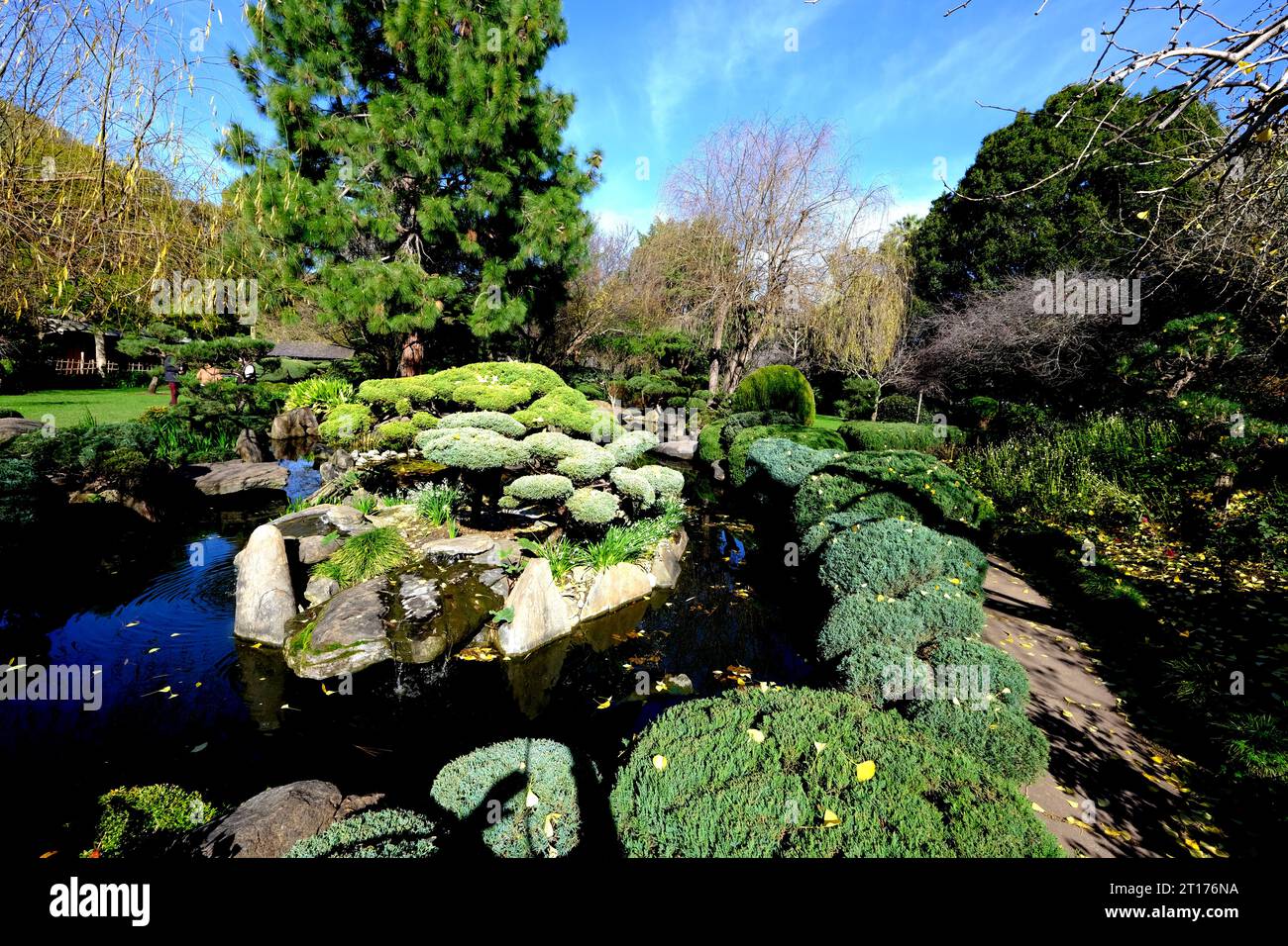 Adelaide Himeji Garden bietet einen Ort für ruhige Meditation in Adelaide Australien Stockfoto