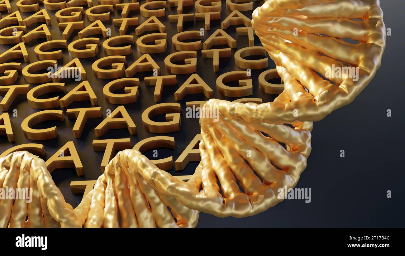 Hintergrund der goldenen ATGC-Buchstaben. Adenin, Thymin, Cytosin und Guanin sind die vier Nukleotide, die in der DNA gefunden werden Stockfoto