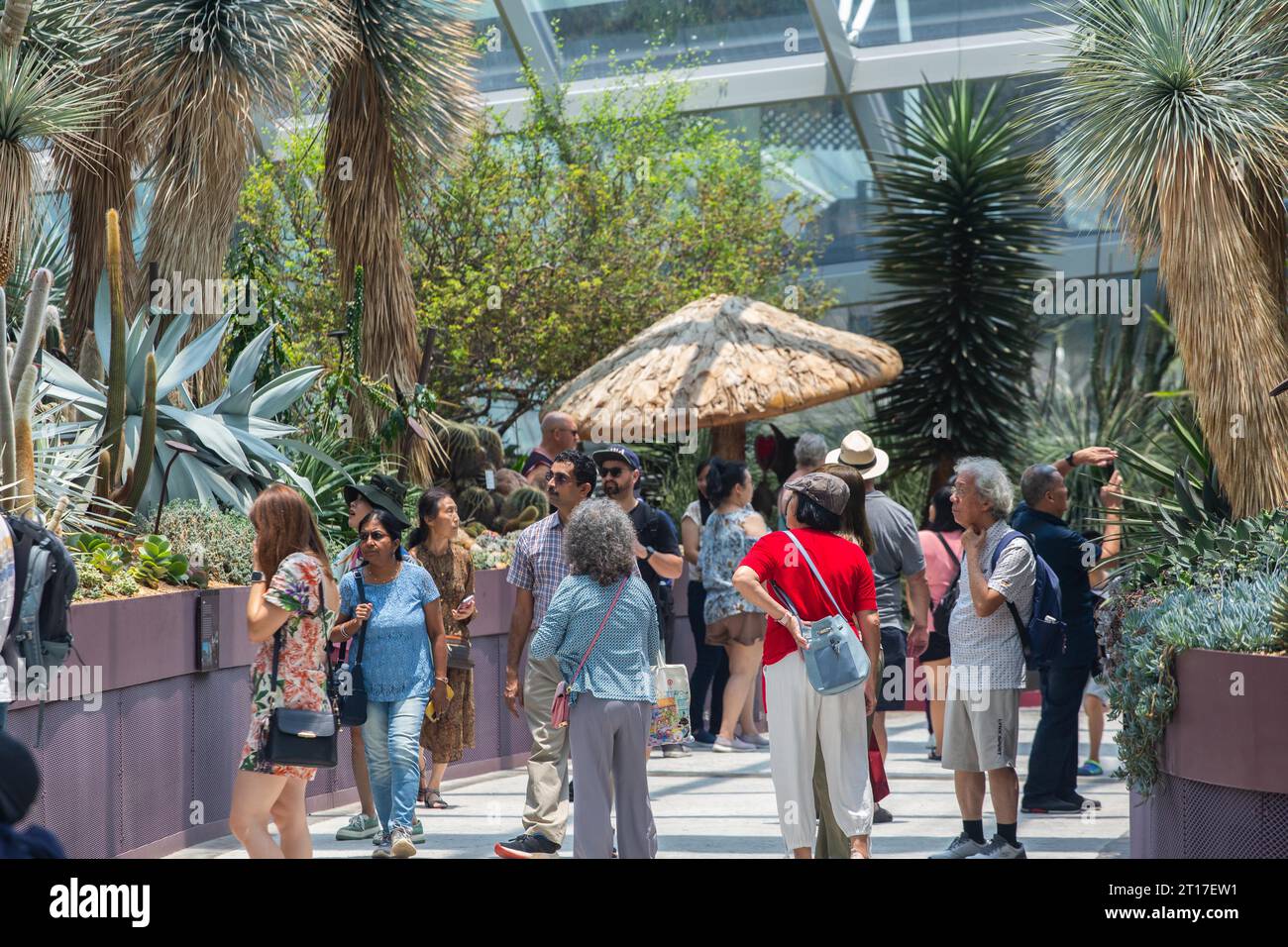 Eine Menge Touristen aus verschiedenen Ländern besuchen den Flower Dome