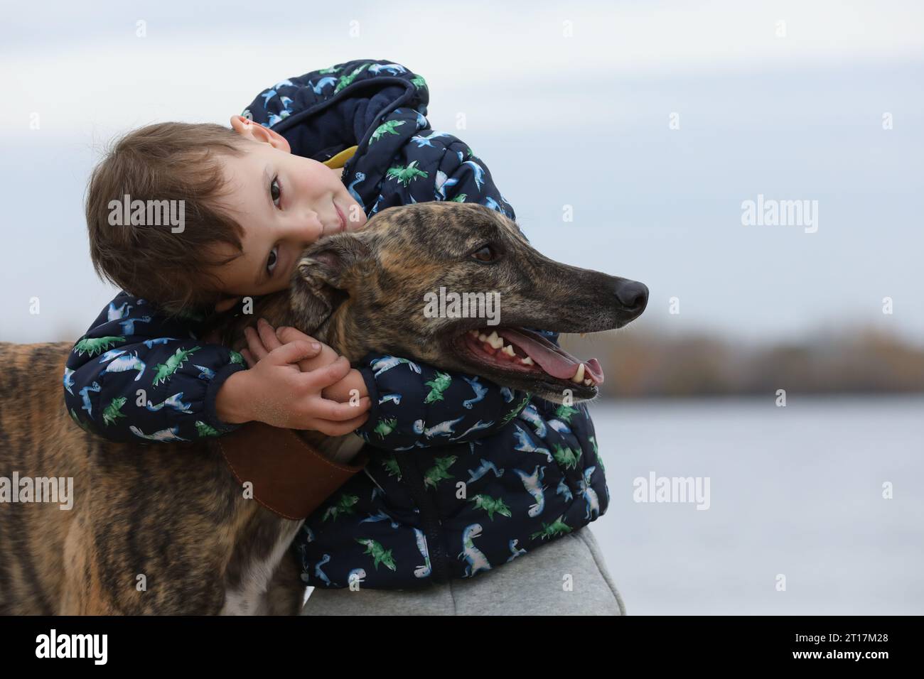Kind läuft mit Hund im Freien. Großer süßer windhund-Hund, der mit dem Jungen läuft Stockfoto