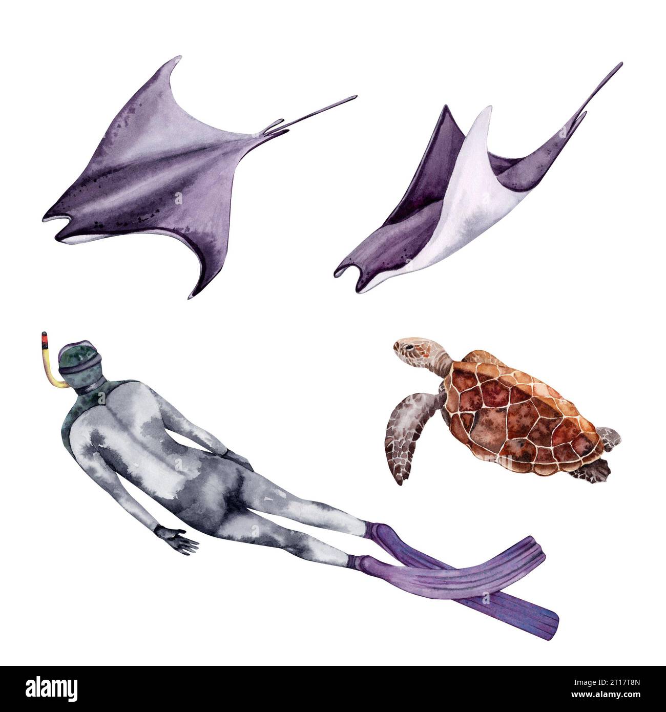 Set mit Aquarellabbildungen. Meerestiere Mantarochen, Meeresschildkröte und eine menschliche Figur eines Schnorcheltauchers. Isolierte Clip-Art auf weißem Hintergrund. Stockfoto