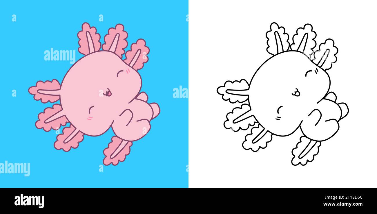 Clipart Axolotl mehrfarbig und schwarz-weiß. Niedliches Clip-Art-Tier. Stock Vektor
