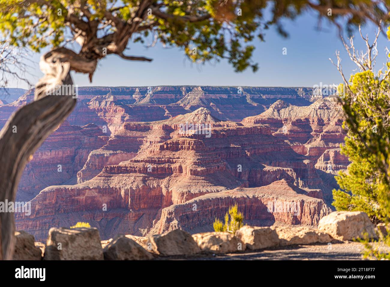 Flugzeugkollision über Dem Grand Canyon Der Grand Canyon ist ein faszinierender Anblick bei Sonnenuntergang, wo