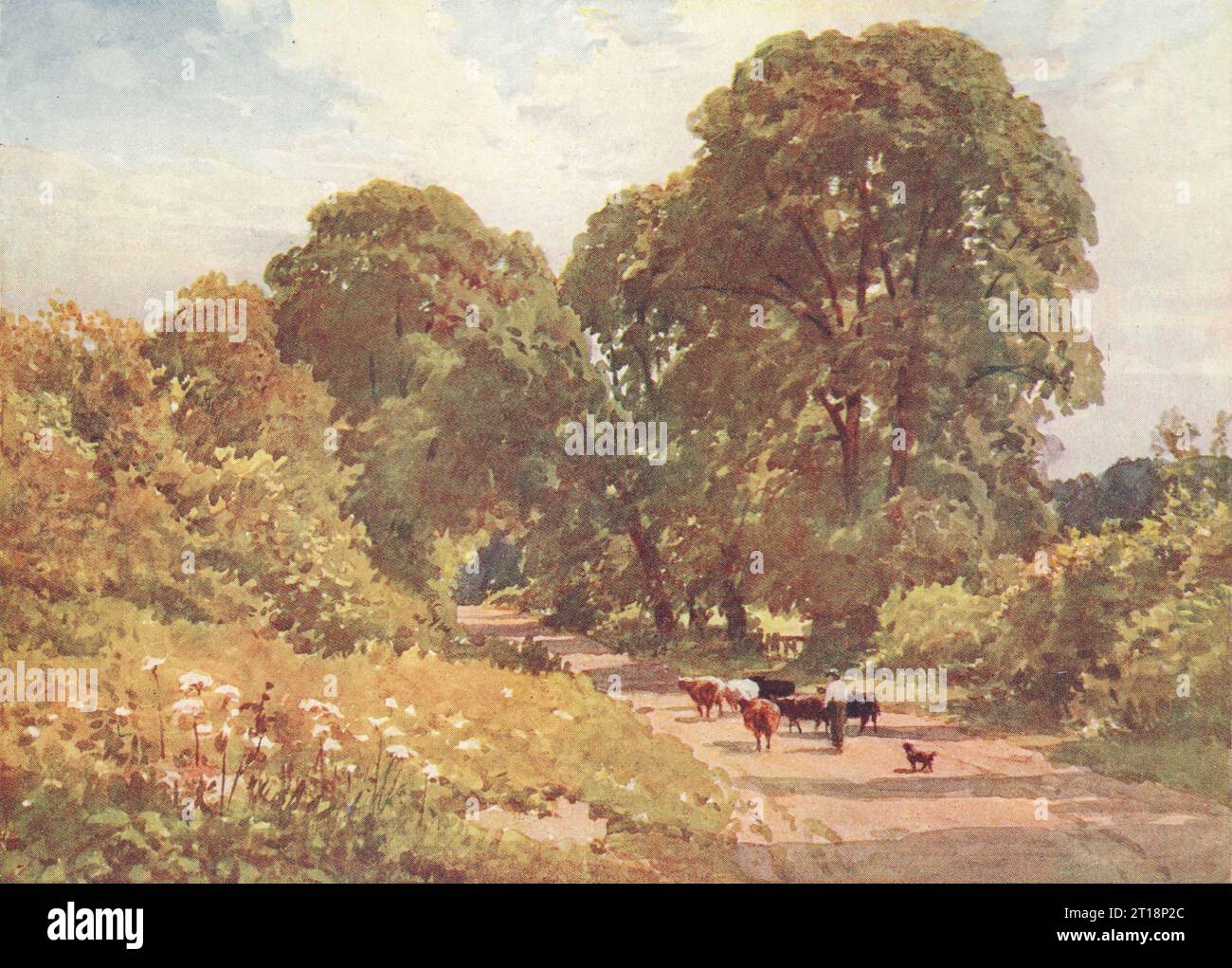 Eine Buckinghamshire Road von Sutton Palmer 1920 altes altes altes Vintage-Druckbild Stockfoto