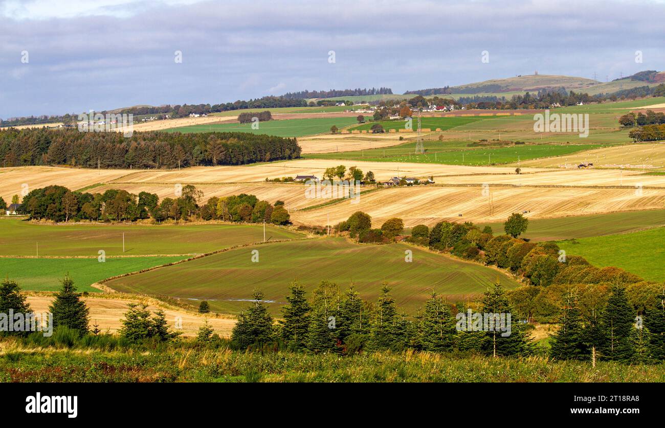 Dundee, Tayside, Schottland, Großbritannien. Oktober 2023. Wetter in Großbritannien: Nachtfrost brachte schöne warme Herbstsonne nach Tayside Schottland, mit Temperaturen von 16°C. Ein herrlicher herbstlicher Blick auf die Sidlaw Hills und das Strathmore Valley im ländlichen Dundee. Quelle: Dundee Photographics/Alamy Live News Stockfoto