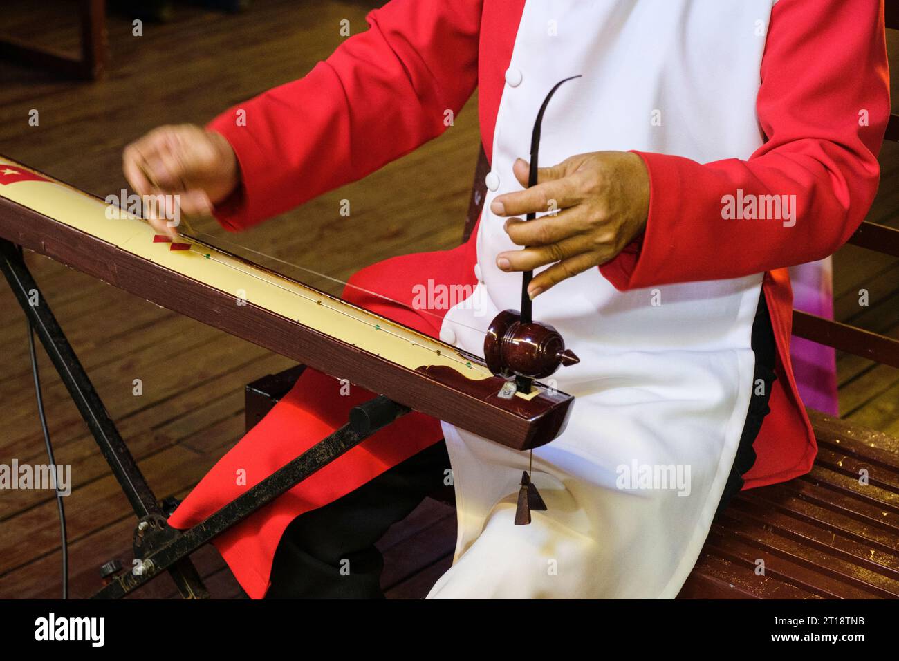 Vietnamesischer Musiker, der das Dan Bau Streichinstrument in Ho Chi Minh, Vietnam spielt. Stockfoto