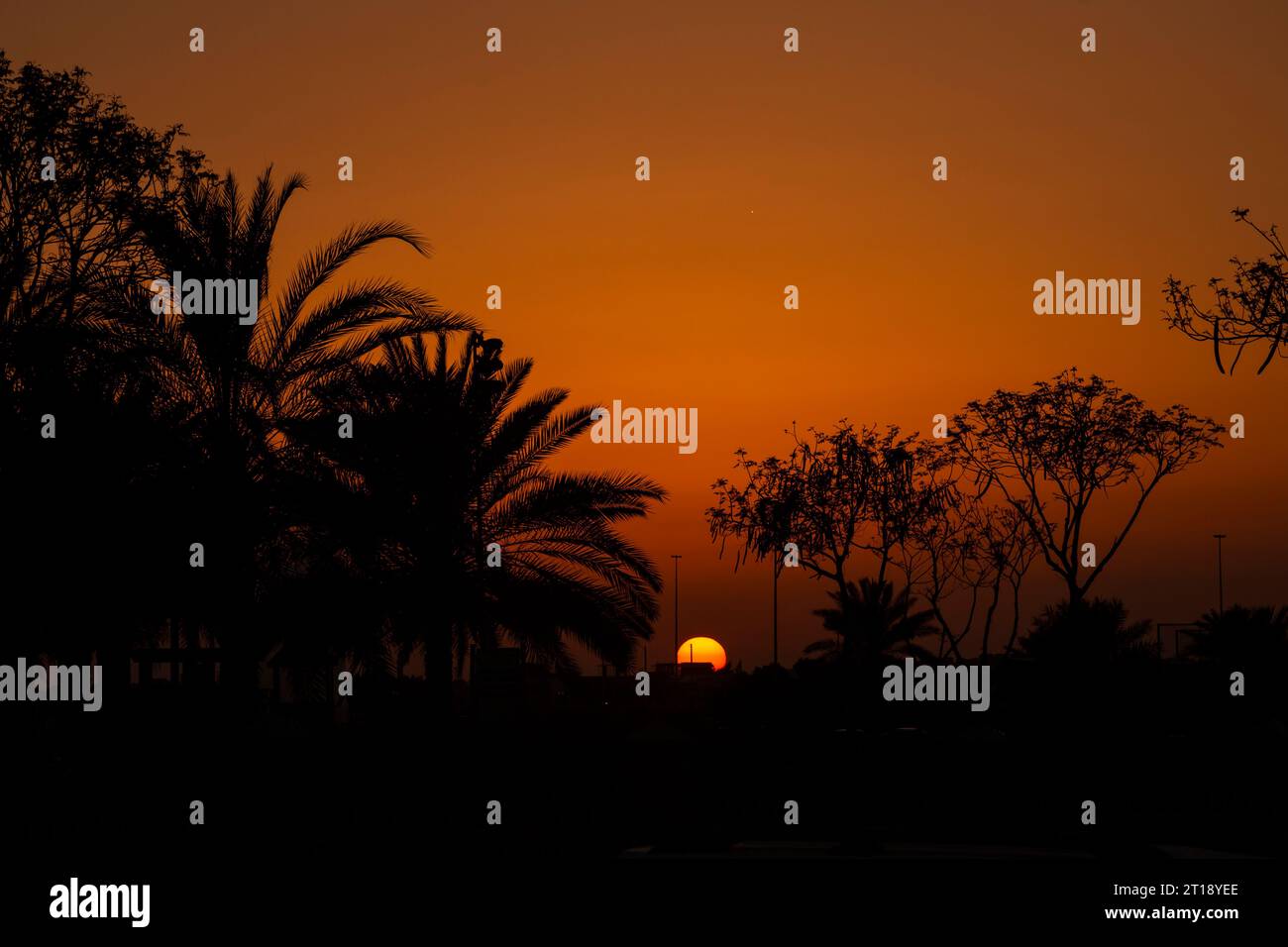 Wunderschöner Sonnenuntergang von Dubai Parks mit Bäumen Schatten Stockfoto