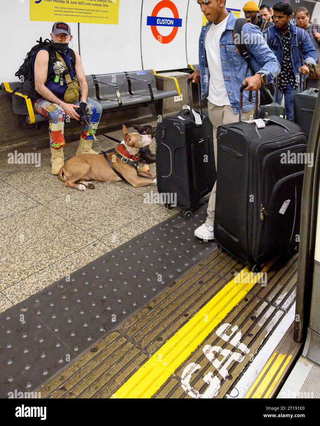 London, Großbritannien. Mann mit zwei Hunden auf dem Bahnsteig der U-Bahnstation Euston Stockfoto