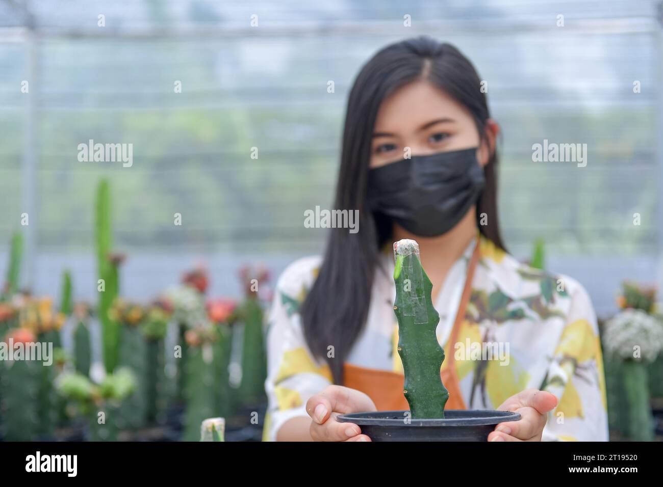 Porträt einer Frau, die einen Kakteen in einem Gewächshaus in Thailand hält Stockfoto
