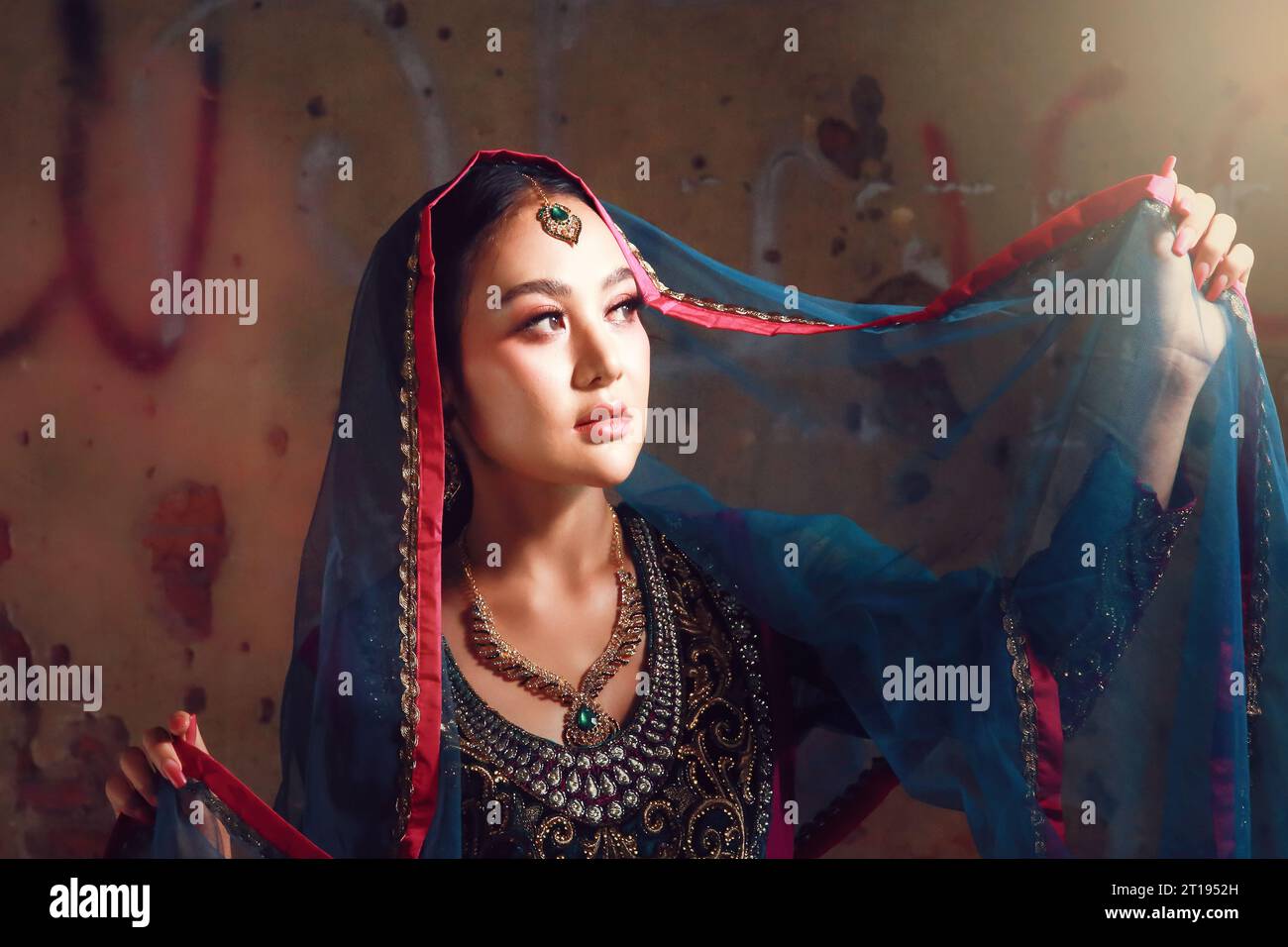 Porträt einer jungen Indianerin in traditionellem Sari und Schleier mit Licht im Gesicht Stockfoto