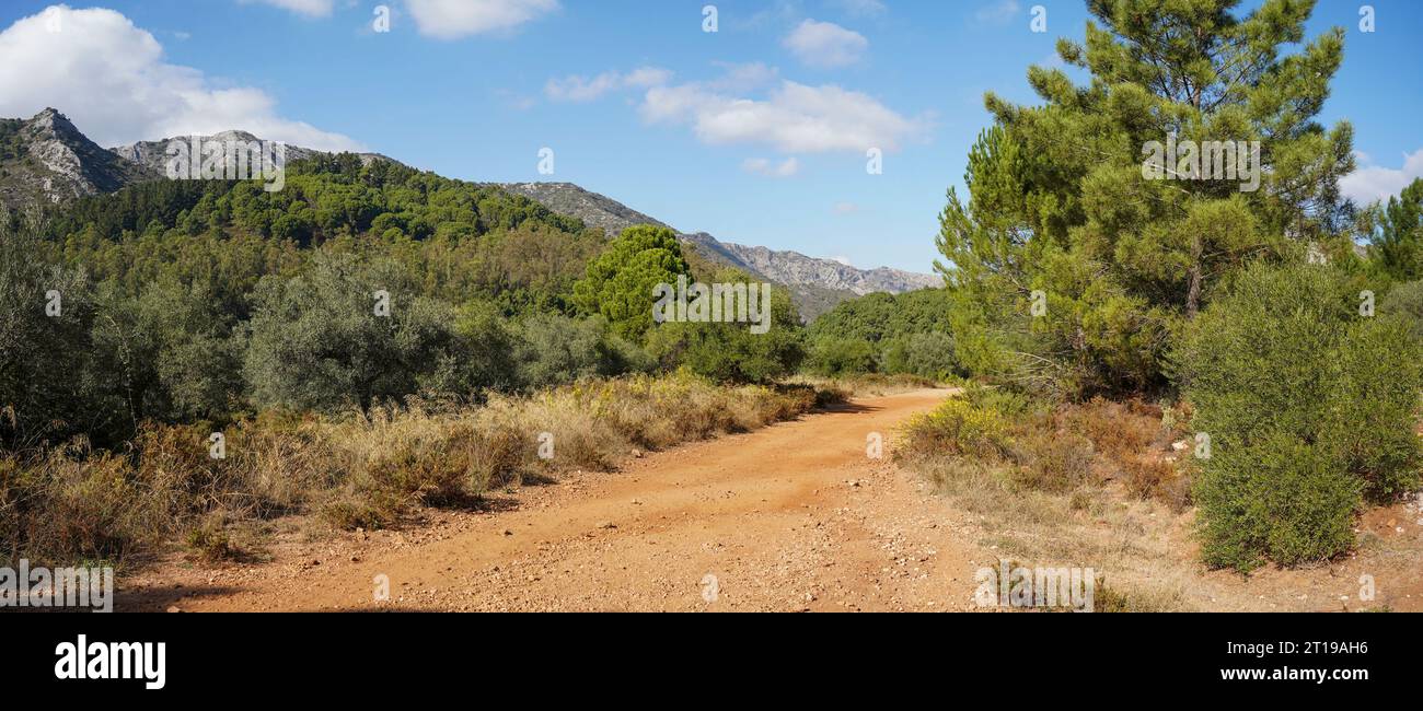 Pfad, Pfad unbefestigte Straße, Berge von Juanar, Ojen, Marbella, Andalusien, Spanien. Stockfoto