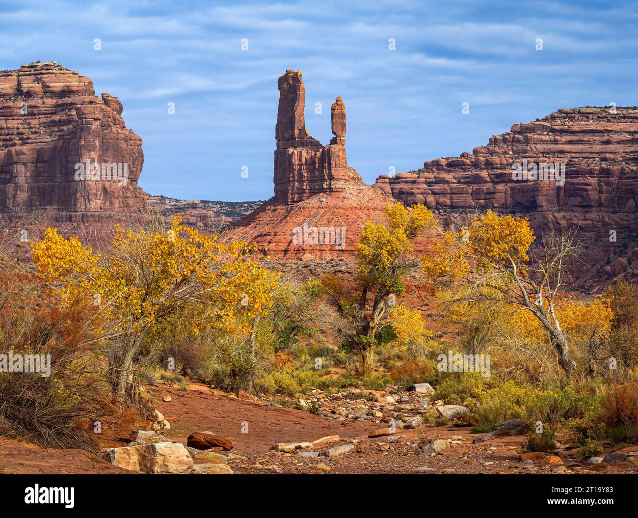 Cottonwood-Bäume in Herbstfarbe im Valley of the Gods, Utah. Stockfoto