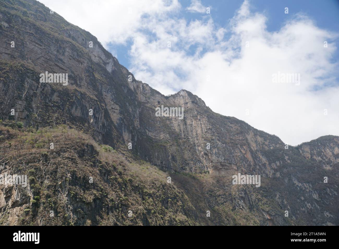 Klippe, Berg, sumidero Canyon, Wolken, Himmel, Vegetation in chiapas, mexiko Stockfoto