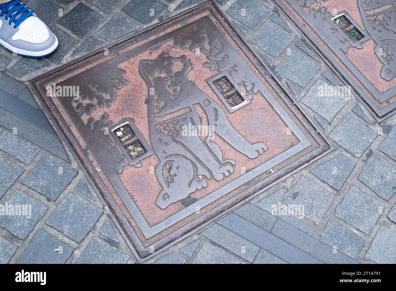 Hachiko Wartungsschutz am Bahnhof Shibuya, Tokio, Japan. Stockfoto