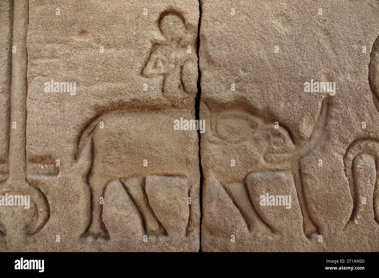 Man reitet Elefant in Reliefarbeiten an Blöcken am Dendera-Tempel in der Nähe von Qena, Ägypten Stockfoto