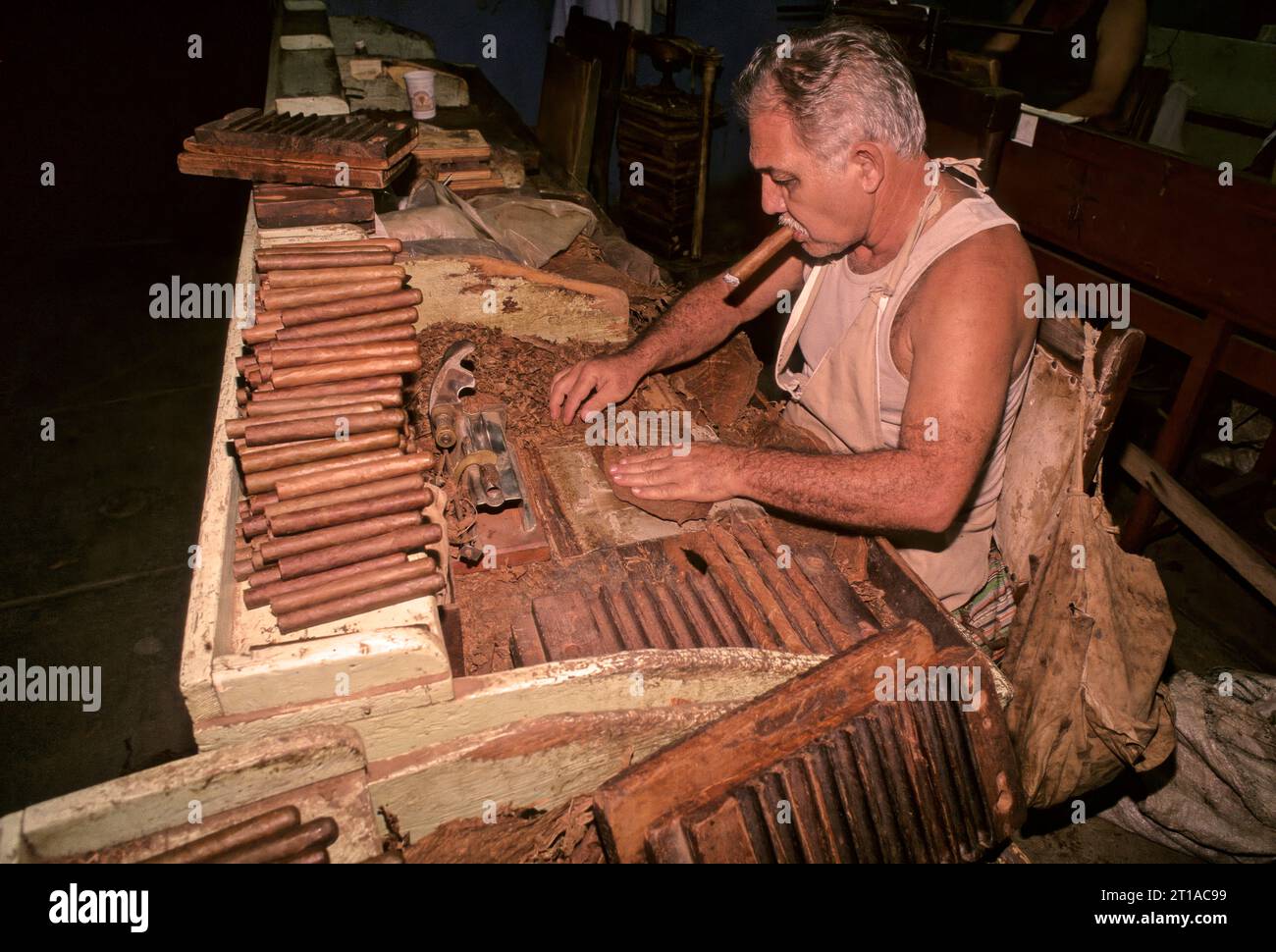 Cuba Havana Real Fabrica de Tabacos Partagas verschiedene Stufen der handwerklichen Herstellung von Zigarren Stockfoto