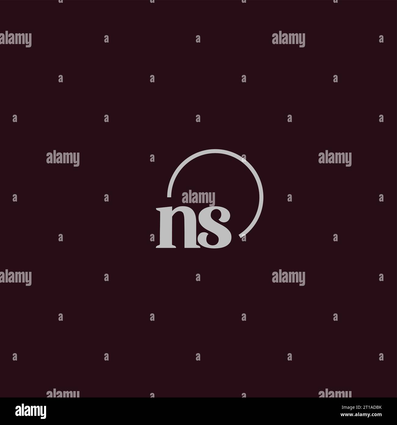 NS Initials Logo Monogramm Design Ideen Stock Vektor