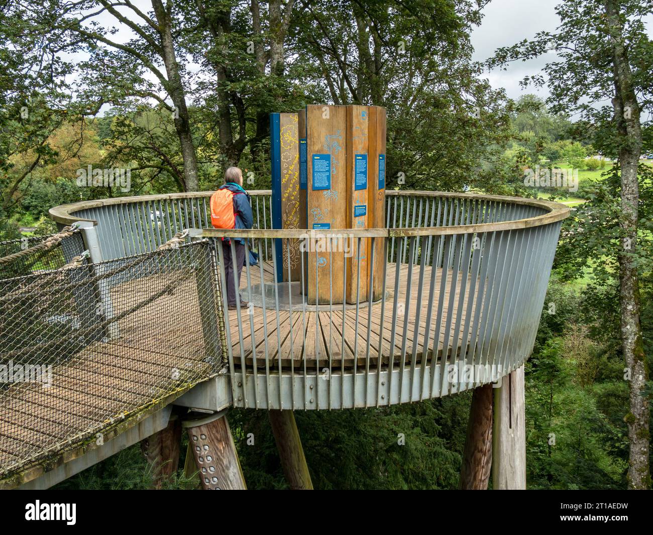 Aussichtsplattform auf dem „Stihl Treetop Walkway“, einem Luftweg durch die Baumkronen des Westonbirt Arboretum, Gloucestershire, England, Großbritannien Stockfoto