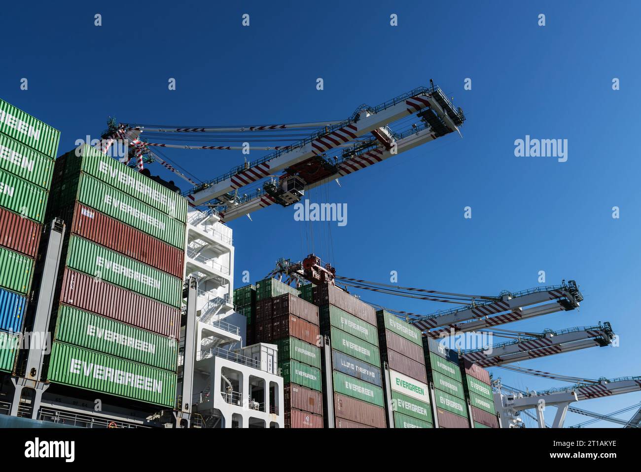 Los Angeles, Kalifornien, USA - 4. Oktober 2023: Blick auf Evergreen-Frachtcontainer und Hafenkrane im Hafen von Los Angeles in Südkalifornien Stockfoto