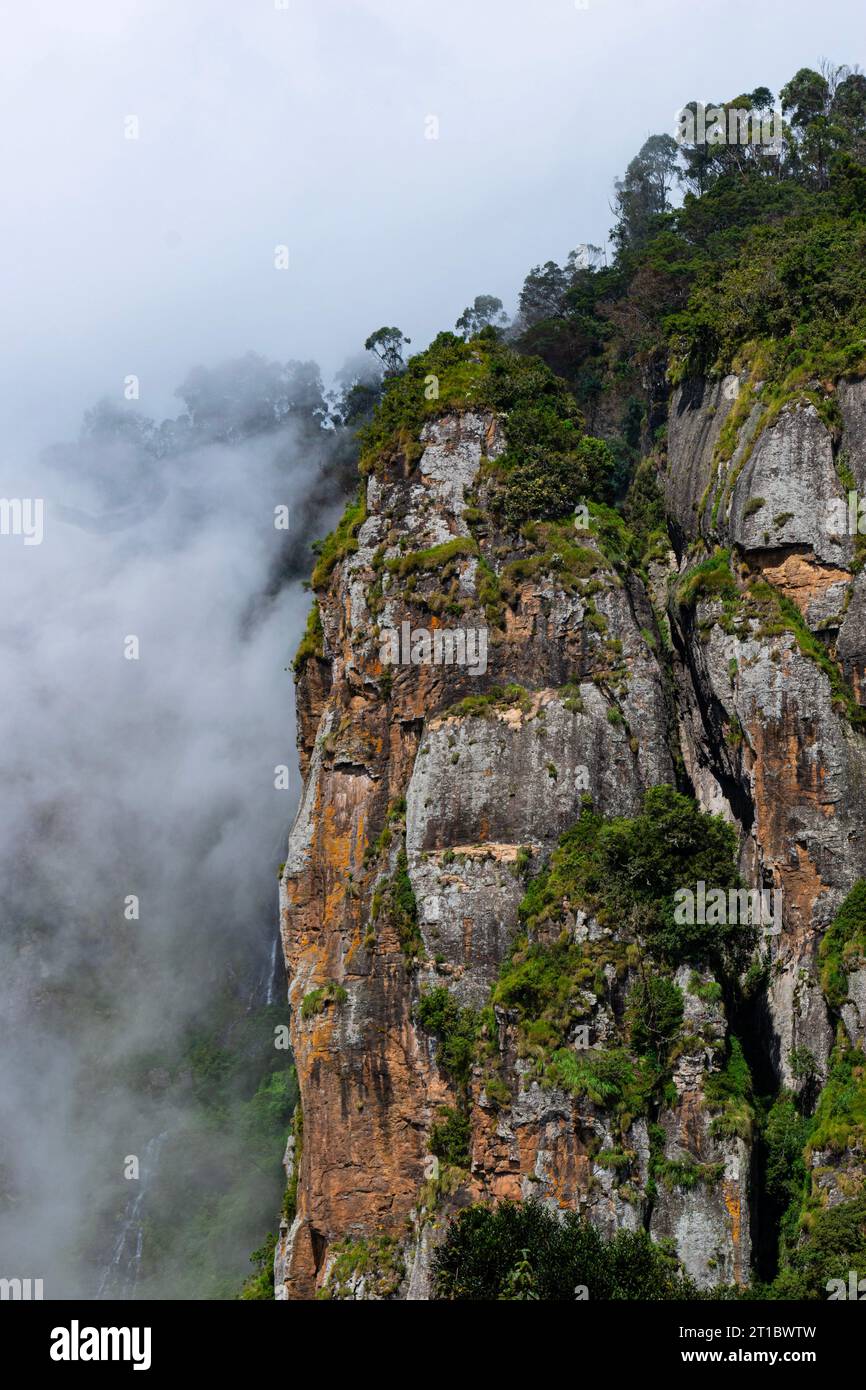 Ein Bild von Piller-Felsen bedeckt mit Nebel in Kodaikanal, Tamil Nadu, Indien Stockfoto