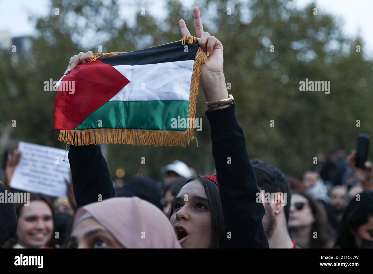 Nievajio Palästina Armbänder - 2 Stück Handgeflochtene Armbänder In Nationalfarben