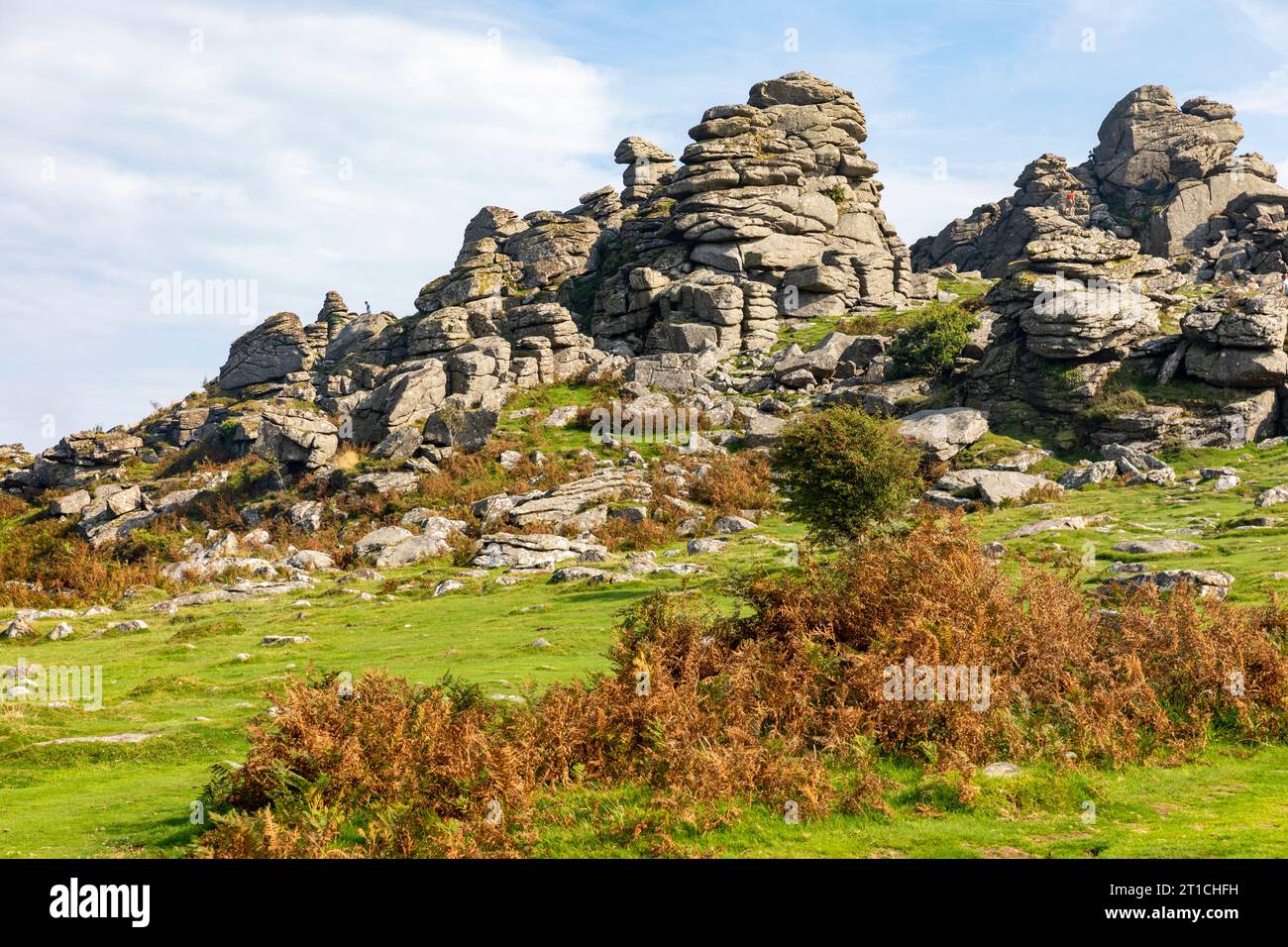 Hound Tor Dartmoor National Park in Devon, Felsformation aus Granit, von der angenommen wurde, dass sie das Buch Hound of the Baskervilles inspirieren sollte, England, Großbritannien, September 2023 Stockfoto